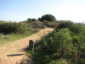 שמורת%20אירוס%20הארגמן%20בנתניה%20,%20נתניה